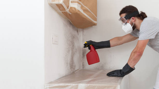 Professional Crawl Space Mold Removal technician working in Howell, NJ