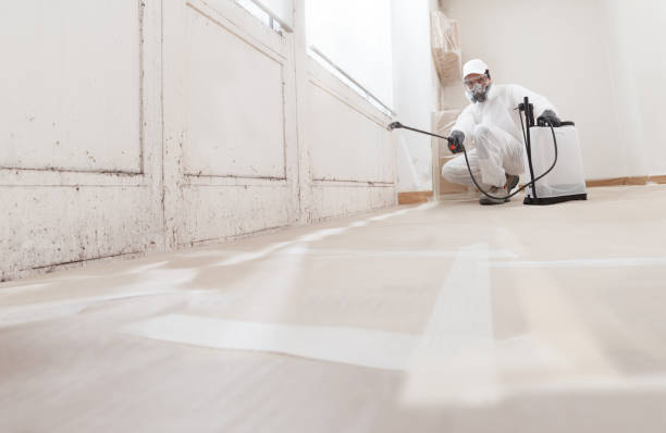 24/7 Emergency Crawl Space Mold Removal experts in Howell, NJ