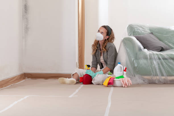 Reliable Crawl Space Mold Removal contractor in Howell, NJ by WQB Mold Removal