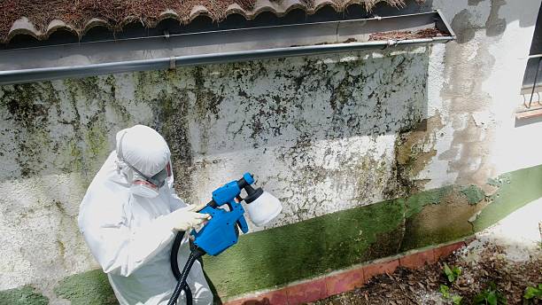 Top rated local Crawl Space Mold Removal specialists in Howell, NJ